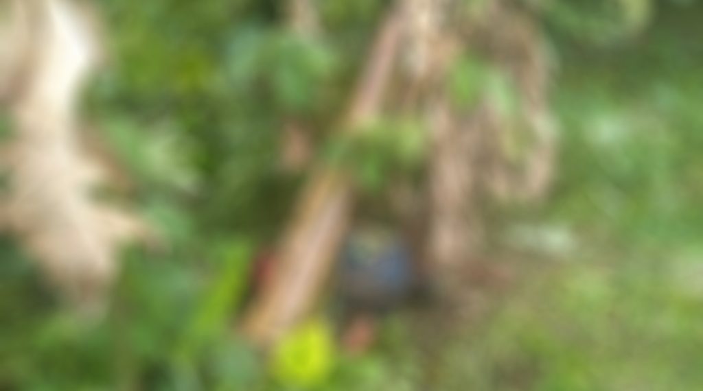 Un presunto indígente fue localizado sin vida