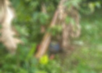 Un presunto indígente fue localizado sin vida