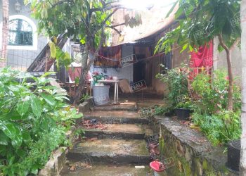 Perro ataca a menor de un año y 7 meses en el cantón Montenegro