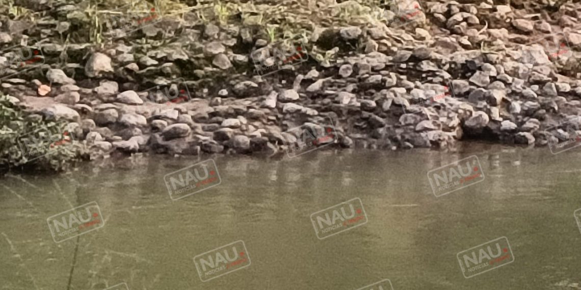 Crece temor de los habitantes de tres colonias por presencia de cocodrilos