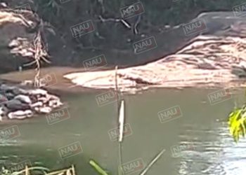 Piden que aseguren dos cocodrilos en el río Cahoacán