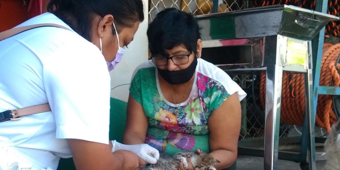 JORNADA INTENSIVA DE VACUNACIÓN ANTIRRÁBICA 2021 RECORRE LAS COLONIAS DE TAPACHULA