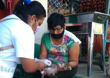 JORNADA INTENSIVA DE VACUNACIÓN ANTIRRÁBICA 2021 RECORRE LAS COLONIAS DE TAPACHULA