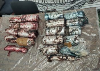 ASEGURA FGR MÁS DE 15 KILOS DE NARCÓTICO OCULTO EN UN CAMIÓN EN CHIAPAS