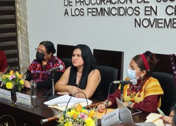 Promulgar leyes e iniciativas para erradicar violencia hacia mujeres: Escobedo Morales