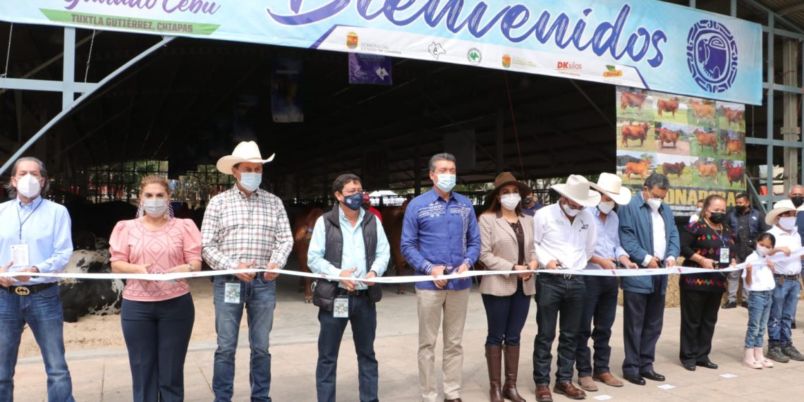 Desde Chiapas se fomenta y promueve la ganadería mexicana: Rutilio Escandón