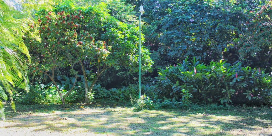 Ayuntamiento de Tuxtla Chico inicia con la limpieza del pocito y las gradas