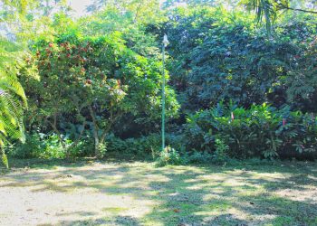 Ayuntamiento de Tuxtla Chico inicia con la limpieza del pocito y las gradas