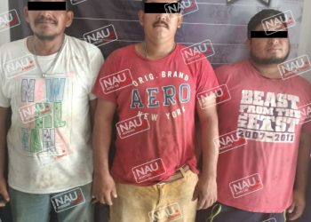 Detienen a tres personas por traficar con madera.