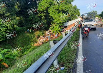Vuelca tráiler cargado de cerveza.