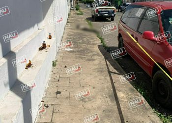 Encuentra a indigente sin vida.