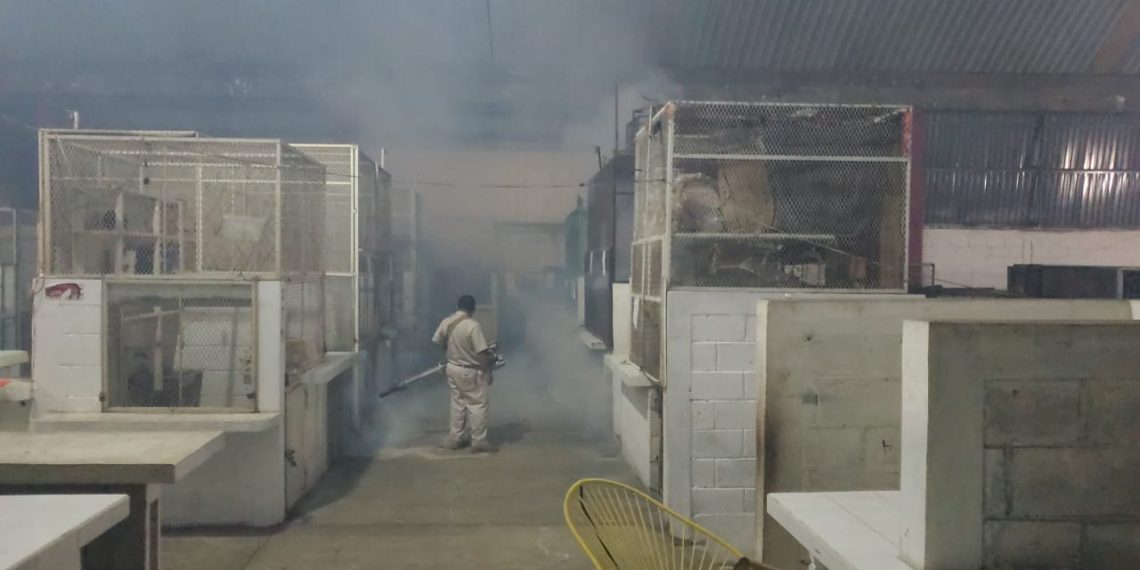 AYUNTAMIENTO COMBATE DENGUE, ZIKA Y CHIKUNGUNYA EN TIANGUIS Y ESPACIOS PÚBLICOS DE TAPACHULA