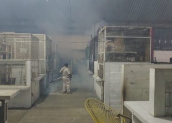 AYUNTAMIENTO COMBATE DENGUE, ZIKA Y CHIKUNGUNYA EN TIANGUIS Y ESPACIOS PÚBLICOS DE TAPACHULA