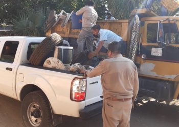 REINICIA CAMPAÑA PERMANENTE DE DESCACHARRAMIENTO EN COLONIAS DE TAPACHULA