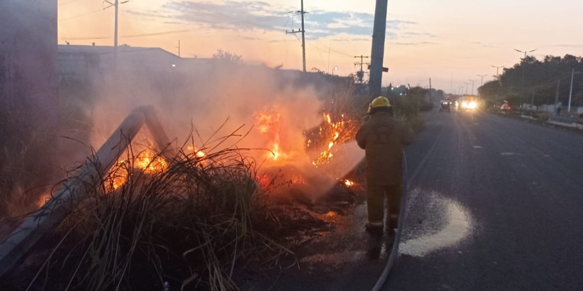 PROTECCIÓN CIVIL DE TAPACHULA CONTROLA INCENDIO DE PASTIZALES
