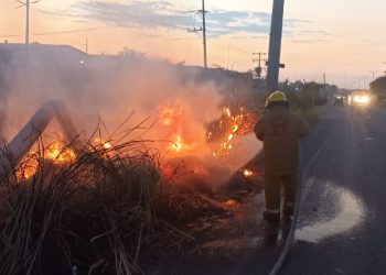 PROTECCIÓN CIVIL DE TAPACHULA CONTROLA INCENDIO DE PASTIZALES