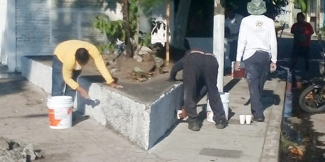 La dirección de Ecología y Medio Ambiente realiza acciones de embellecimiento en la entrada principal de Tuxtla Chico de la gasolinera hasta la Avenida Díaz y el Parque Central Miguel Hidalgo.