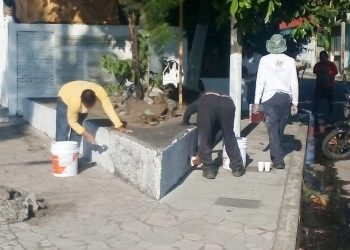 La dirección de Ecología y Medio Ambiente realiza acciones de embellecimiento en la entrada principal de Tuxtla Chico de la gasolinera hasta la Avenida Díaz y el Parque Central Miguel Hidalgo.