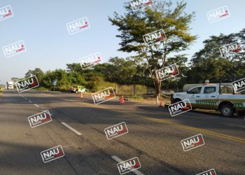 Muere migrante haitiano atropellado en Frontera Hidalgo.