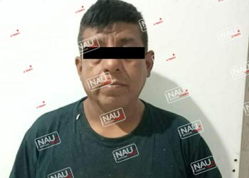 Detienen a dos guatemaltecos que derriban un árbol.