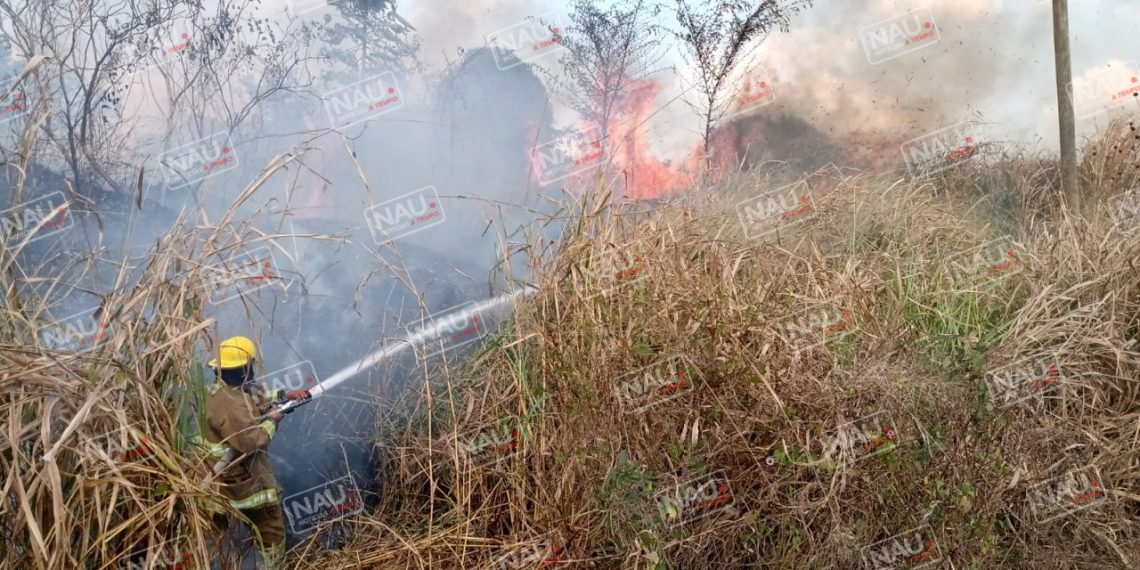 Atiende PC y cuerpo de bomberos 6 incendios de pastizales en Tapachula