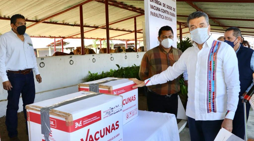 Se busca erradicar la brucelosis bovina para fortalecer aún más la ganadería chiapaneca: Rutilio Escandón