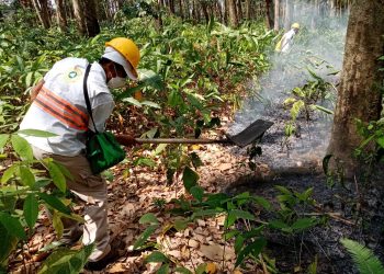 Emite PC de Tuxtla Chico recomendaciones ante la temporada de Estiaje 2022