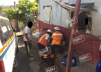 Pitbull muerde a peatón.