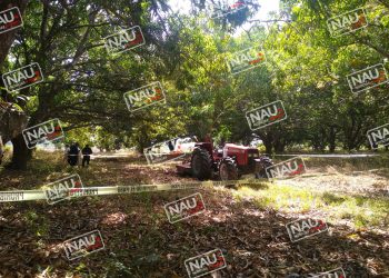 Muere menor tras ser golpeado en la cabeza por una Chapeadora.