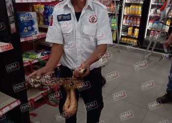 Serpiente se metió a una tienda Oxxo