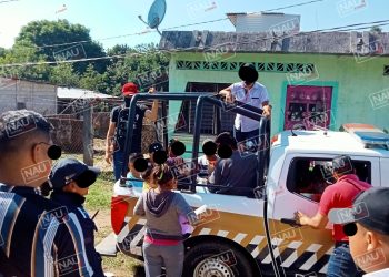 Aseguran a migrantes