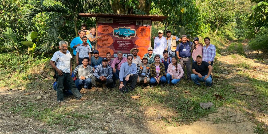 Concluye Con Éxito Taller De Capacitación Para La Descripción De Variedades Vegetales