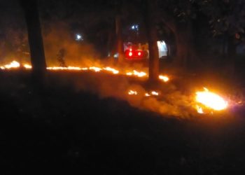 CONTROLA PC INCENDIO DE PASTIZAL EN TERRENOS DE LA UNIDAD ADMINISTRATIVA EN TAPACHULA