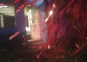 SE ATIENDEN INCENDIOS DE PASTIZALES, ENJAMBRE DE ABEJAS Y CAÍDA DE ÁRBOL SOBRE UNA CASA EN TAPACHULA