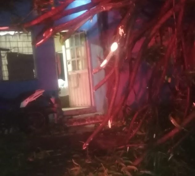 SE ATIENDEN INCENDIOS DE PASTIZALES, ENJAMBRE DE ABEJAS Y CAÍDA DE ÁRBOL SOBRE UNA CASA EN TAPACHULA