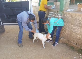 CULMINA LA PRIMERA JORNADA DE VACUNACIÓN ANTIRRÁBICA EN LA ZONA ALTA DE TAPACHULA