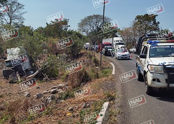Se duerme conductor de cabezal de trailer y sale de la carretera.