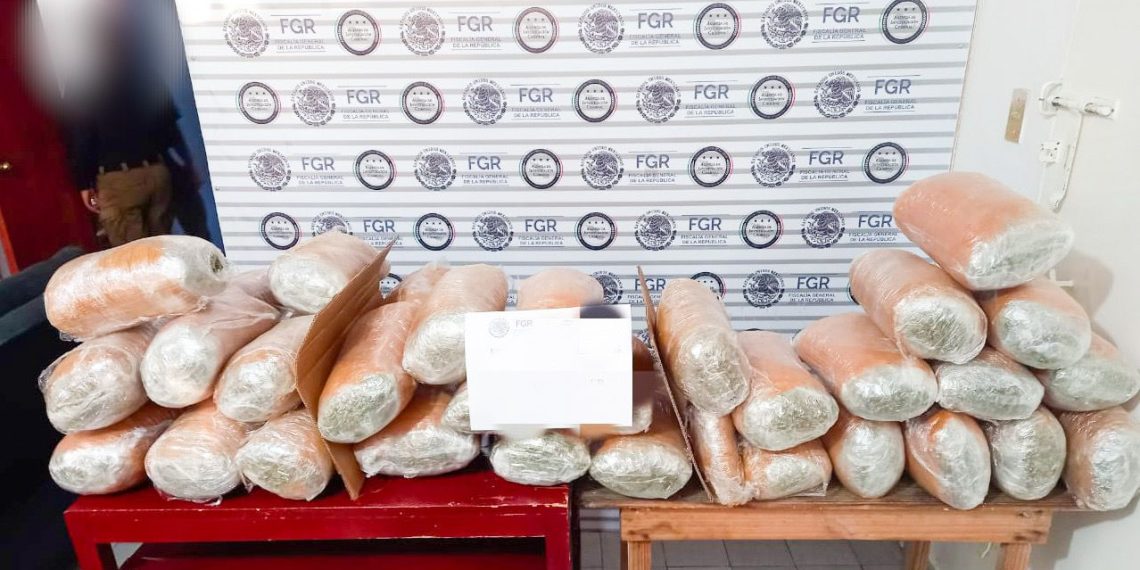 ASEGURA FGR APROXIMADAMENTE 45 KILOS DE MARIHUANA EN CHIAPAS