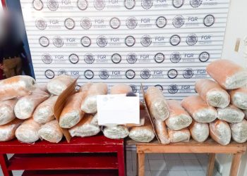 ASEGURA FGR APROXIMADAMENTE 45 KILOS DE MARIHUANA EN CHIAPAS