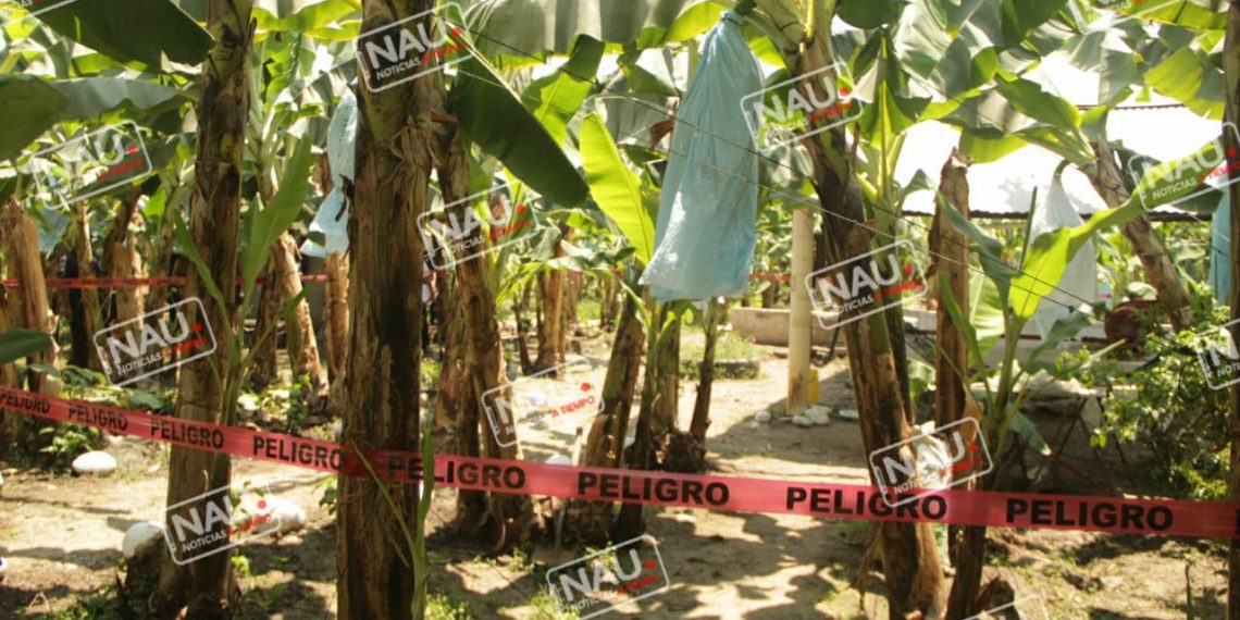 En riña 4sesin4n a trabajador agrícola en Suchiate.