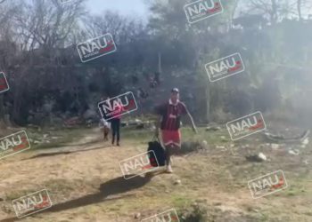 Más de 3 ,5 millones de pesos ha gastado el gobierno federal en tarjetas para migrantes en la Frontera Sur.