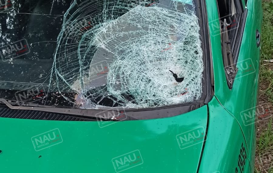 Taxista atropella a una persona