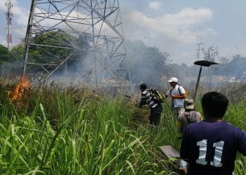 Protección Civil de Tuxtla Chico controla incendio de pastizal en el CantónEl Sacrificio