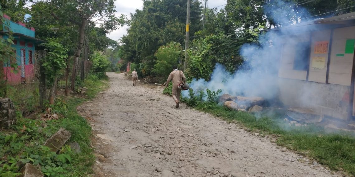 PUERTO MADERO SE SUMA AL COMBATE DEL DENGUE, ZIKA Y CHIKUNGUNYA