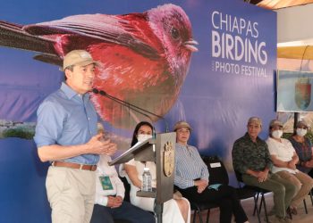 Chiapas Birding and Photo Festival promueve el aviturismo y la riqueza natural: Gobernador