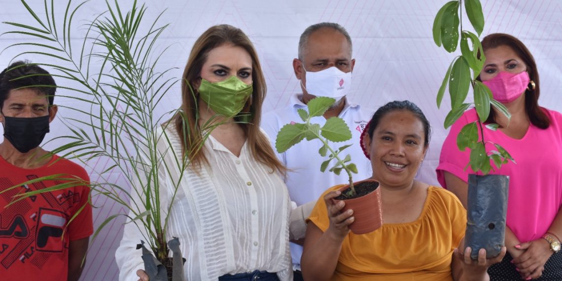 INICIA PROGRAMA “PLANTAS CONTRA MOSQUITOS” EN TAPACHULA