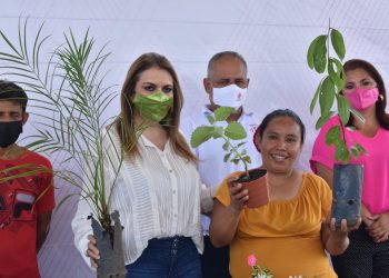 INICIA PROGRAMA “PLANTAS CONTRA MOSQUITOS” EN TAPACHULA