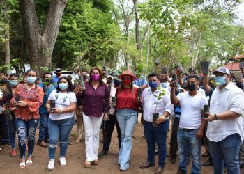 PRODUCTORES DE LA ZONA ALTA DE TAPACHULA RECIBEN PLANTAS DE CAFÉ