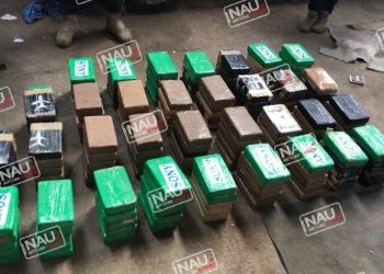 Avioneta Cessna fue abandonada con 273 paquetes de Cocaína