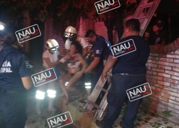 Mujer asustada sube a un árbol de tres metros en Tapachula.